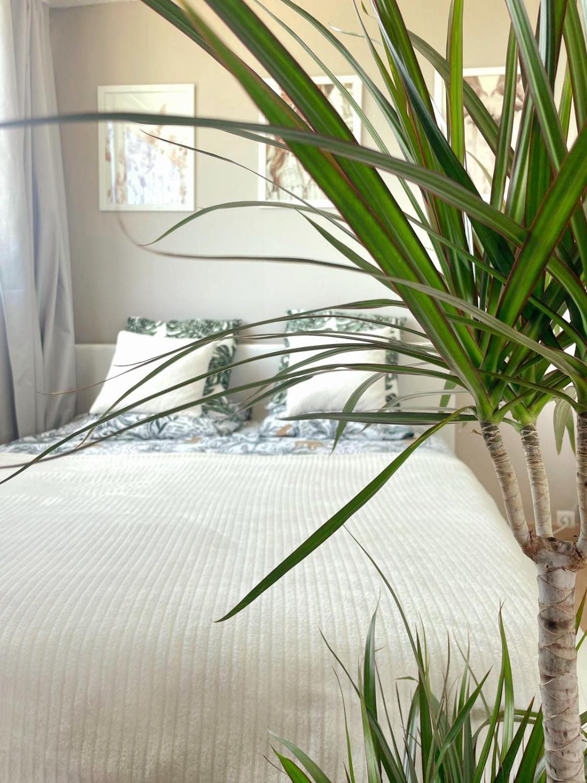 Appartement A La Grande Motte エクステリア 写真